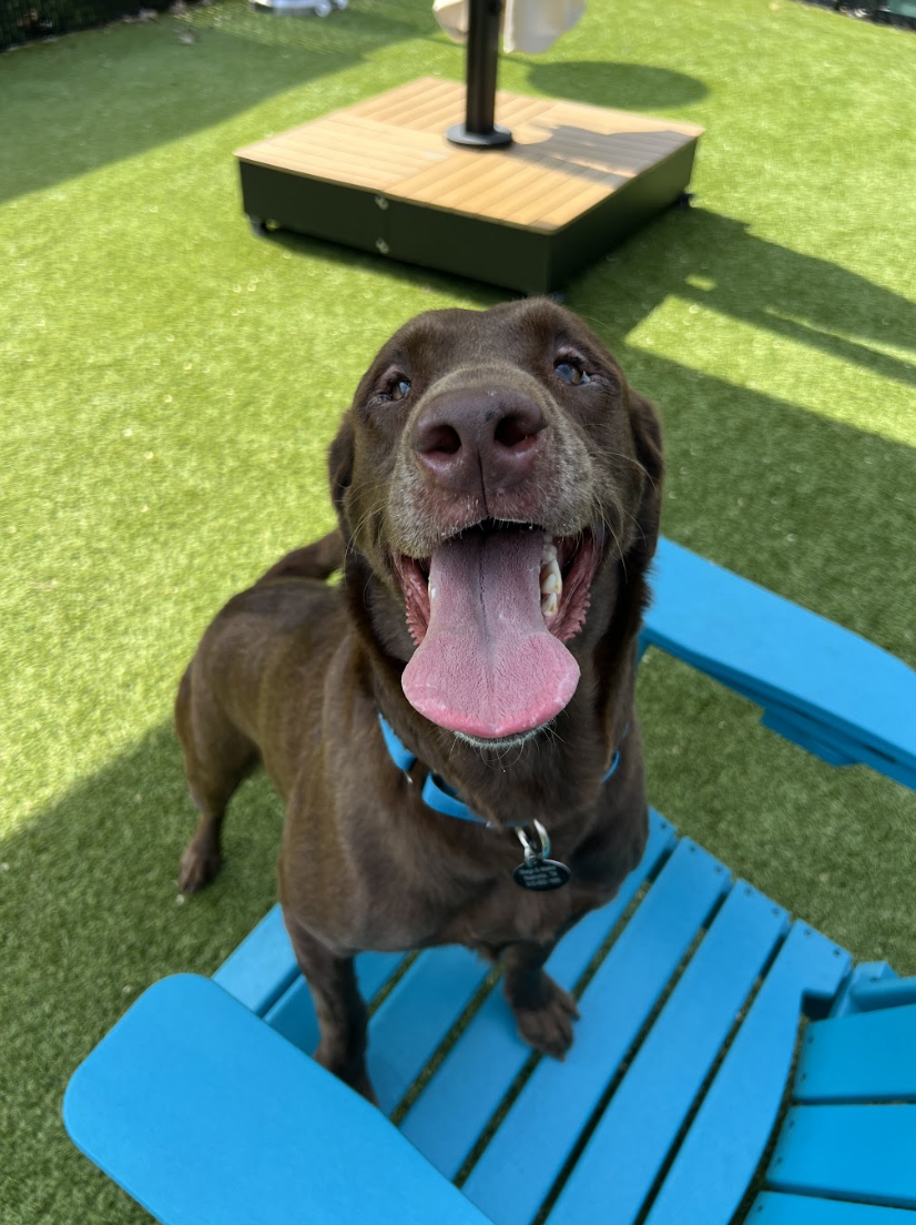 Screenshot 2026-03-26 at 2.35.47 PM.png