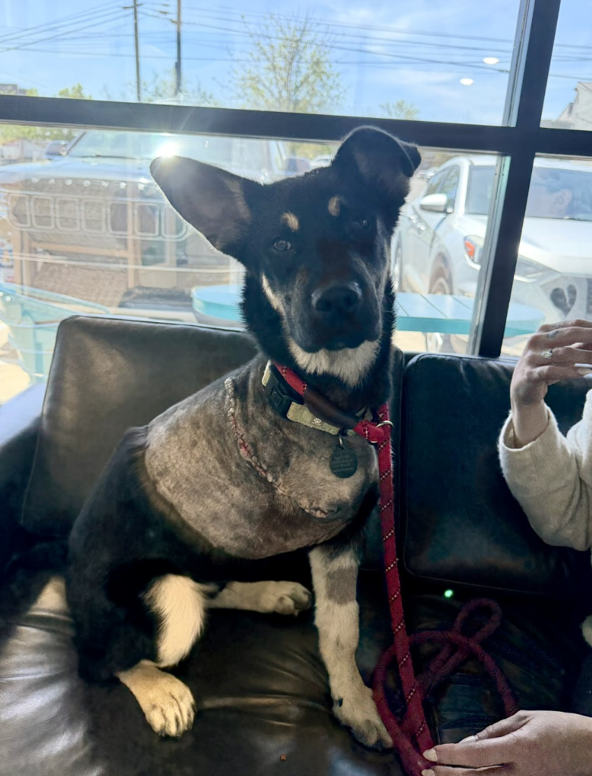 Screenshot 2026-04-09 at 1.51.43 PM.png