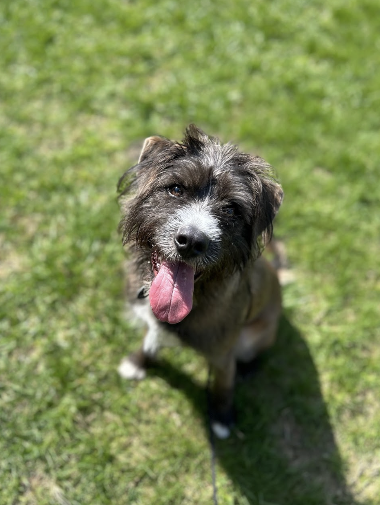 Screenshot 2026-03-26 at 2.29.10 PM.png