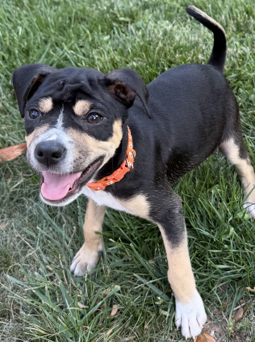 Screenshot 2026-04-28 at 1.59.33 PM.png