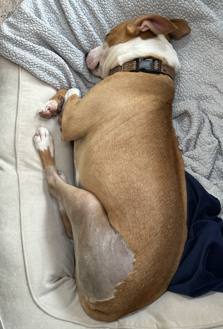 Screenshot 2026-03-06 at 2.37.11 PM.png