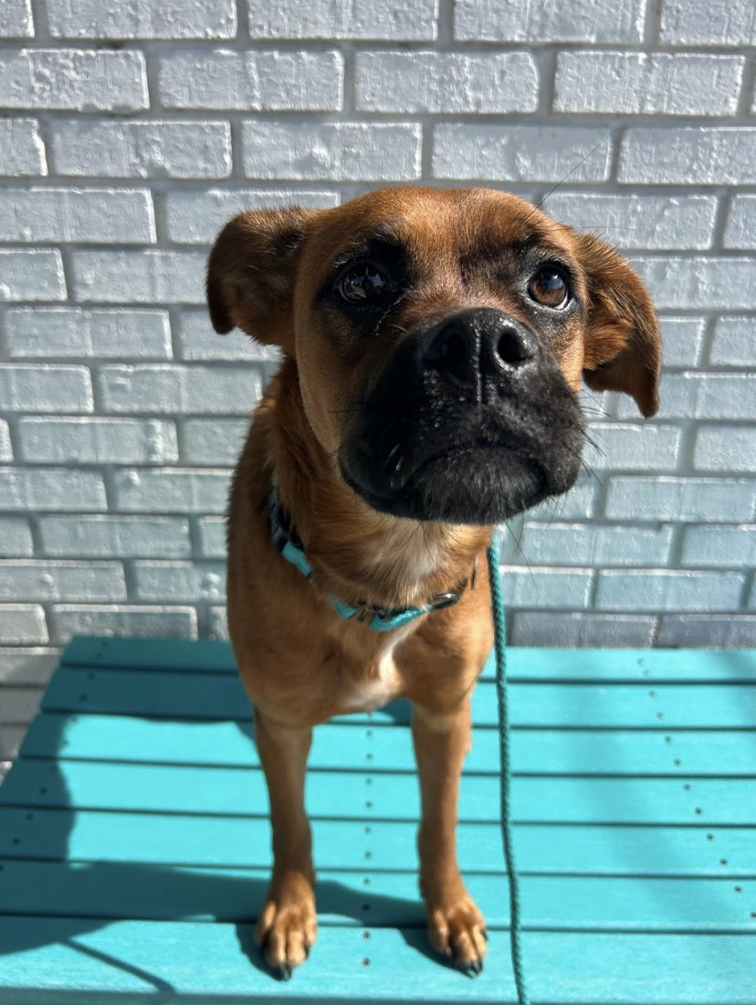 Screenshot 2026-03-20 at 2.28.48 PM.png