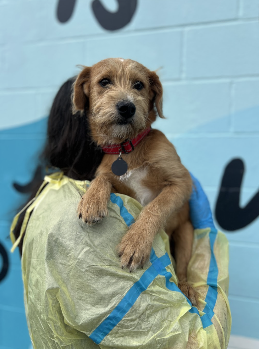 Screenshot 2026-04-14 at 2.59.55 PM.png