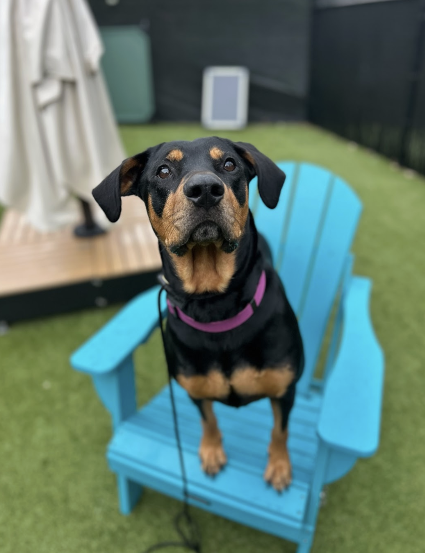 Screenshot 2026-03-11 at 6.37.54 PM.png