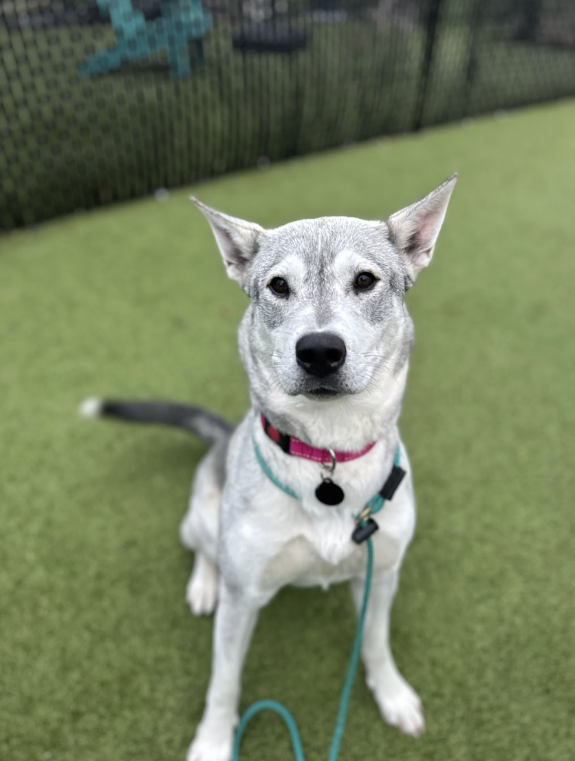 Screenshot 2026-03-11 at 6.39.23 PM.png