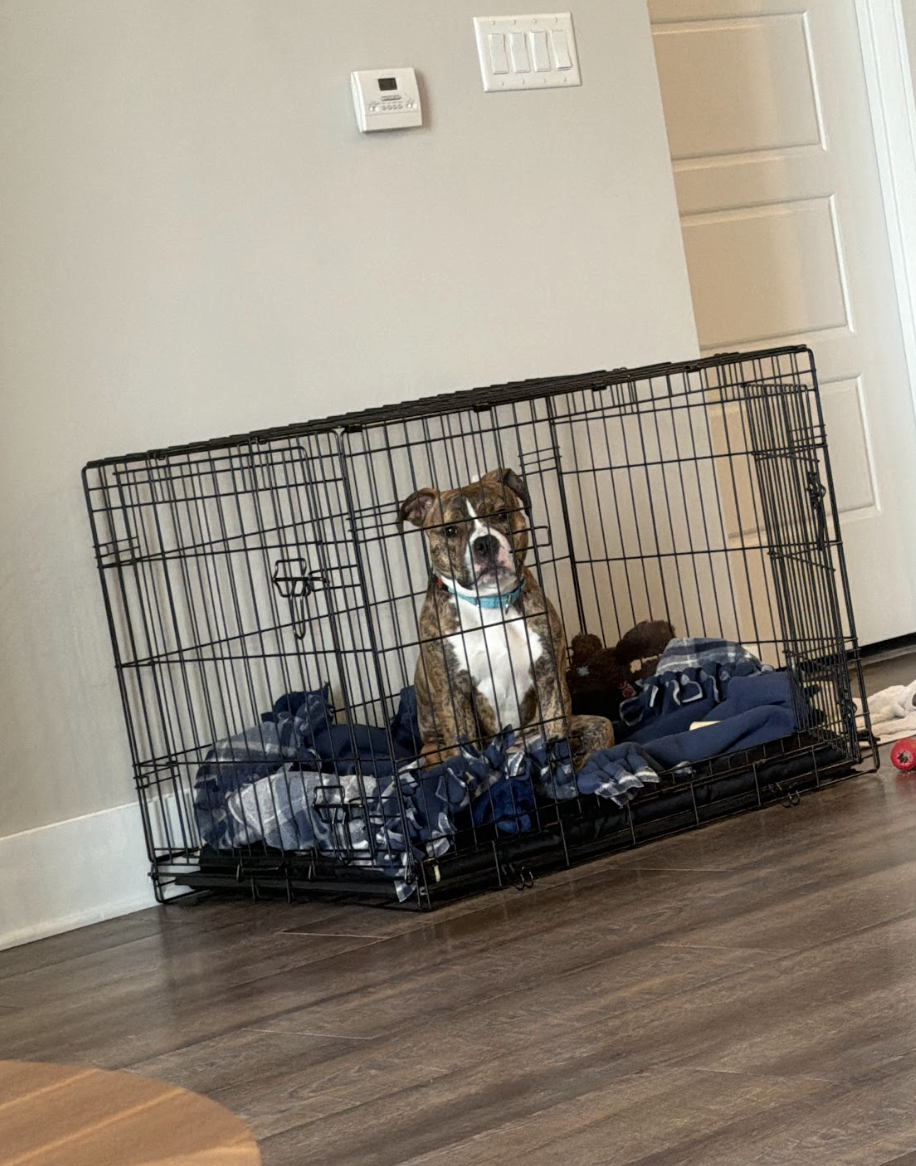 Screenshot 2026-01-14 at 9.16.13 PM.png