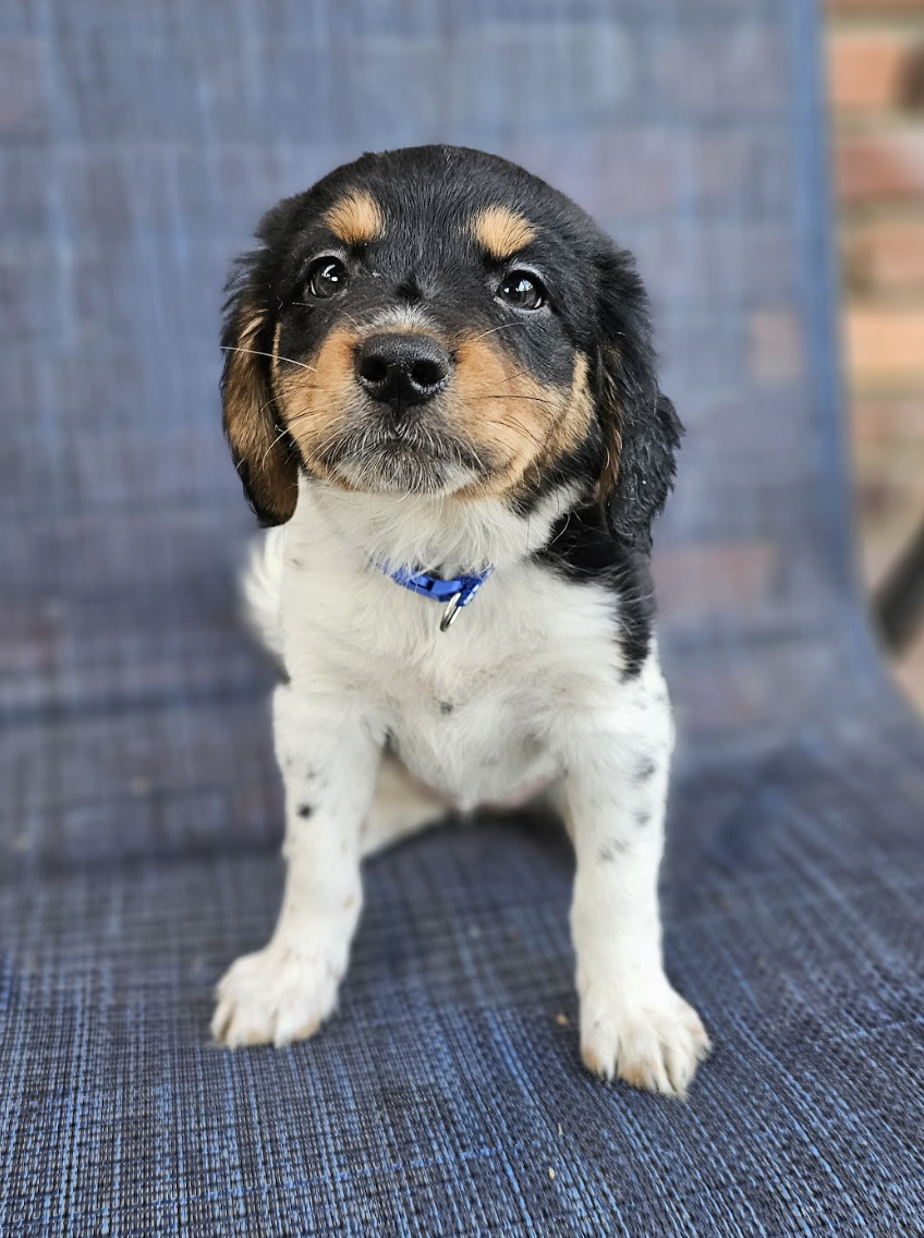 Screenshot 2026-04-03 at 1.00.32 PM.png