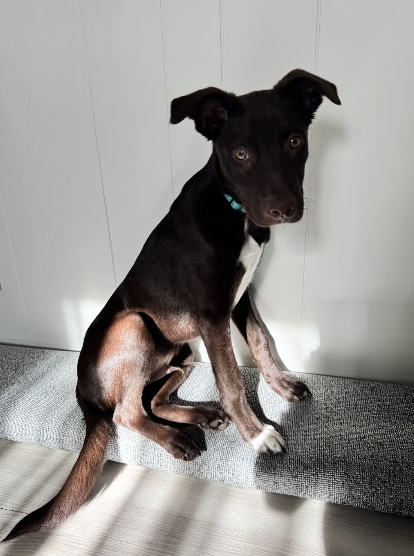 Screenshot 2026-04-23 at 7.50.07 PM.png