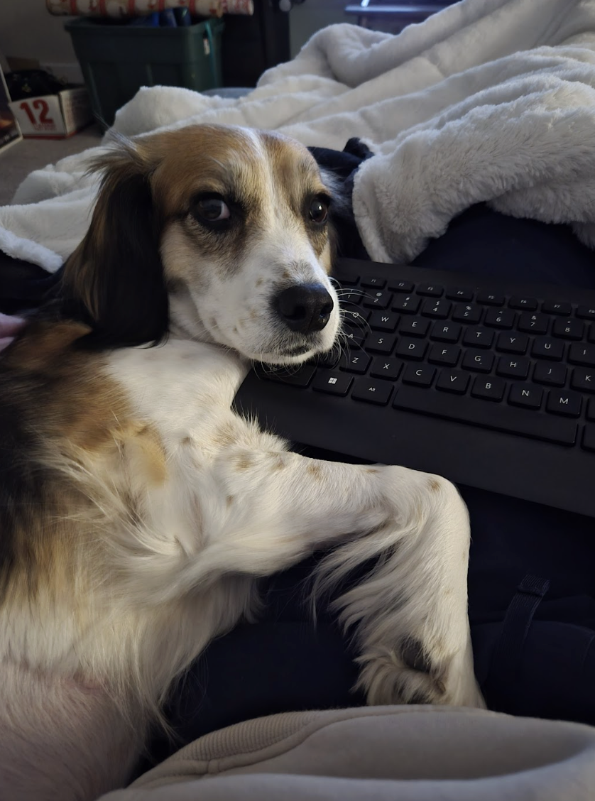 Screenshot 2026-03-17 at 12.00.38 PM.png