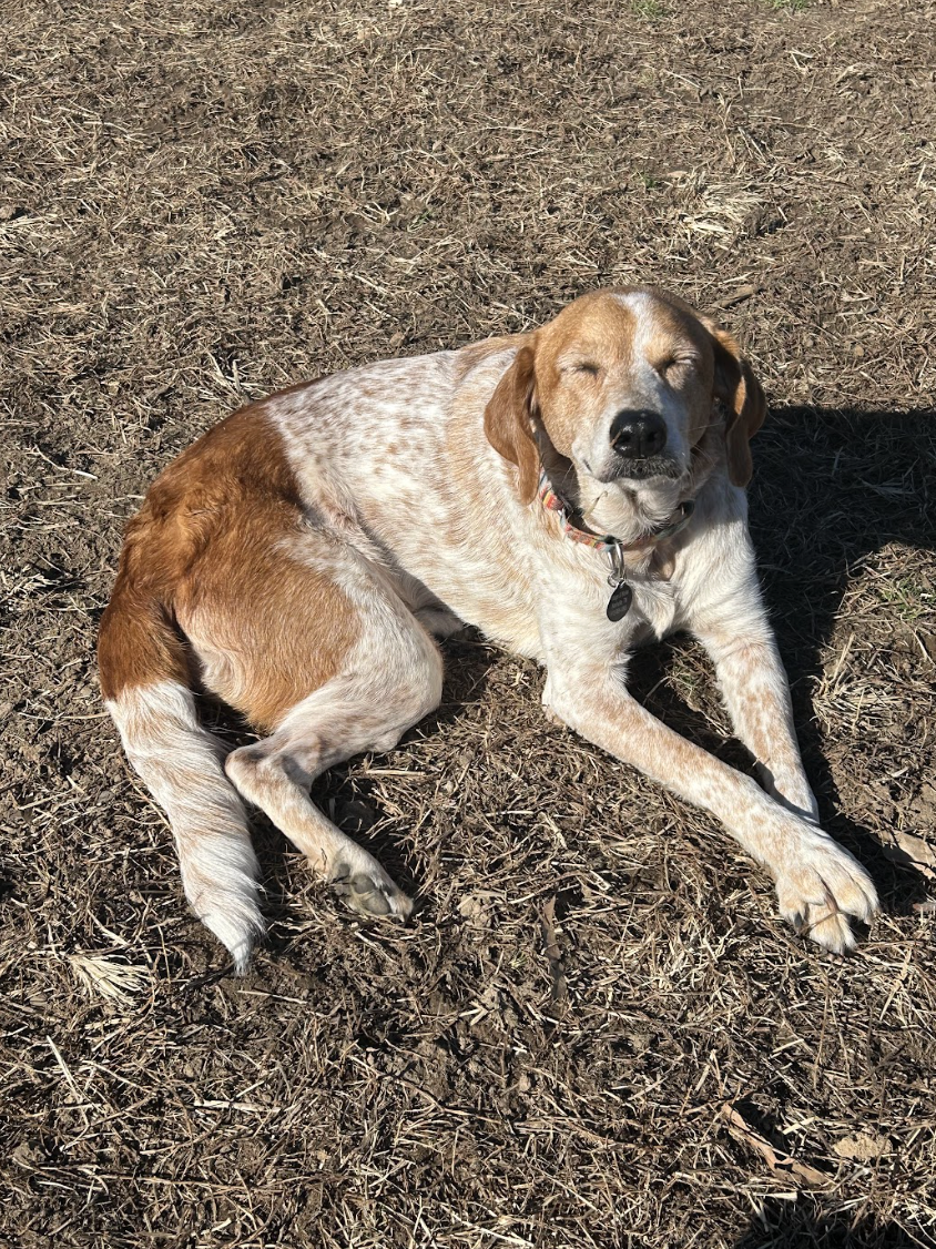 Screenshot 2026-03-11 at 8.36.24 PM.png