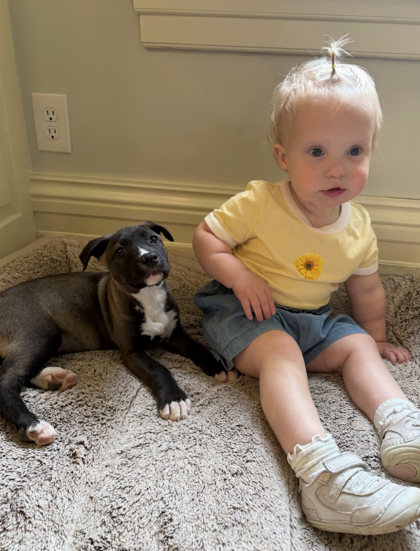 Screenshot 2026-04-03 at 2.03.24 PM.png