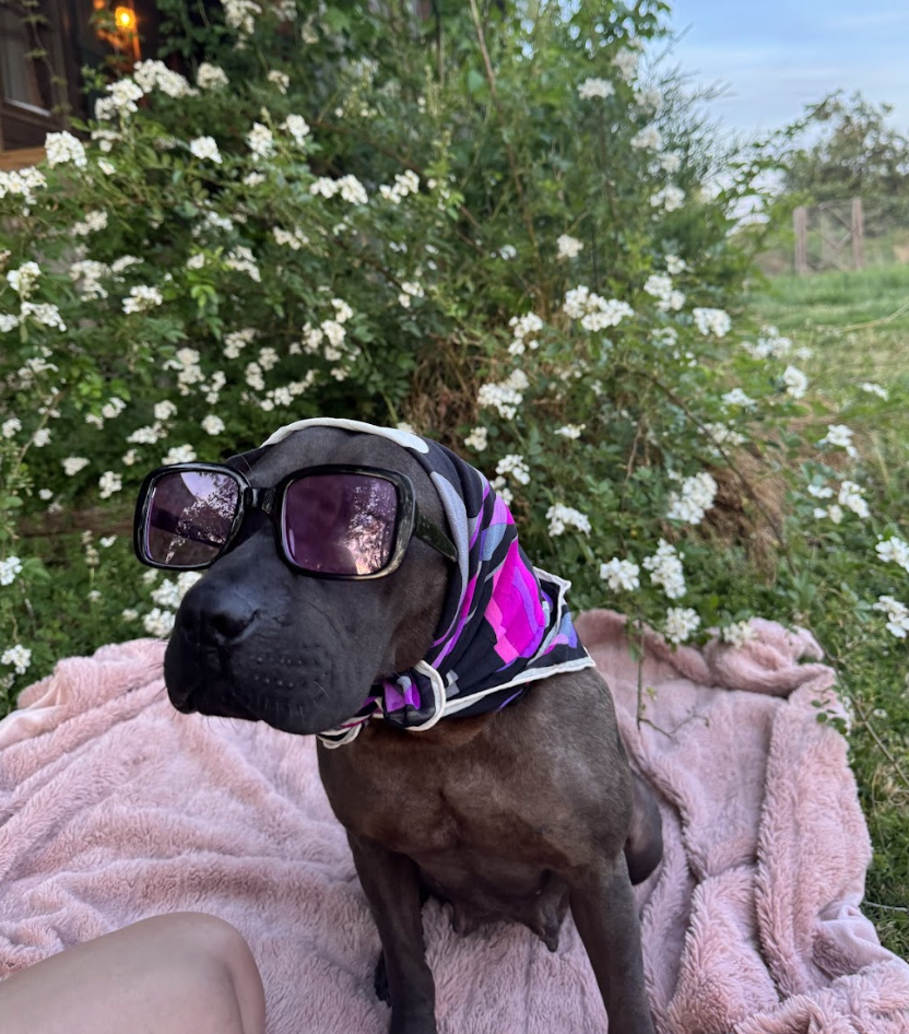 Screenshot 2026-04-22 at 3.04.58 PM.png