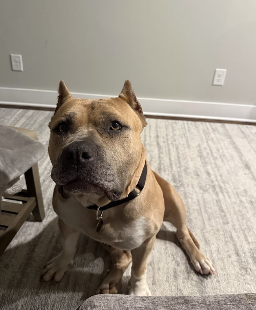 Screenshot 2026-02-27 at 2.35.42 PM.png