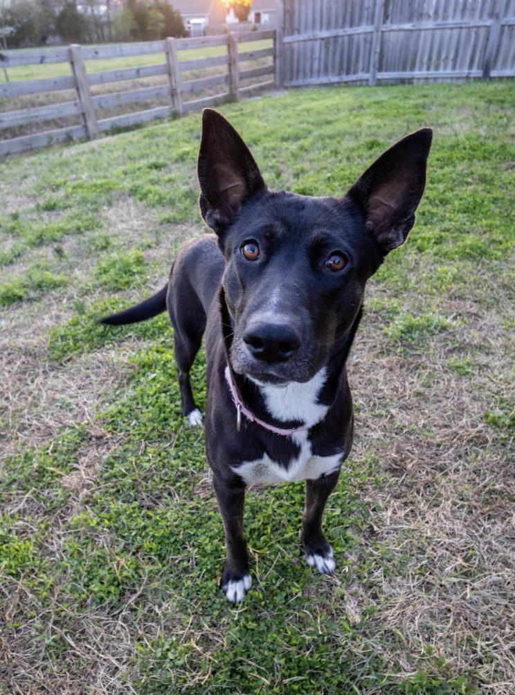 Screenshot 2026-03-17 at 12.20.04 PM.png