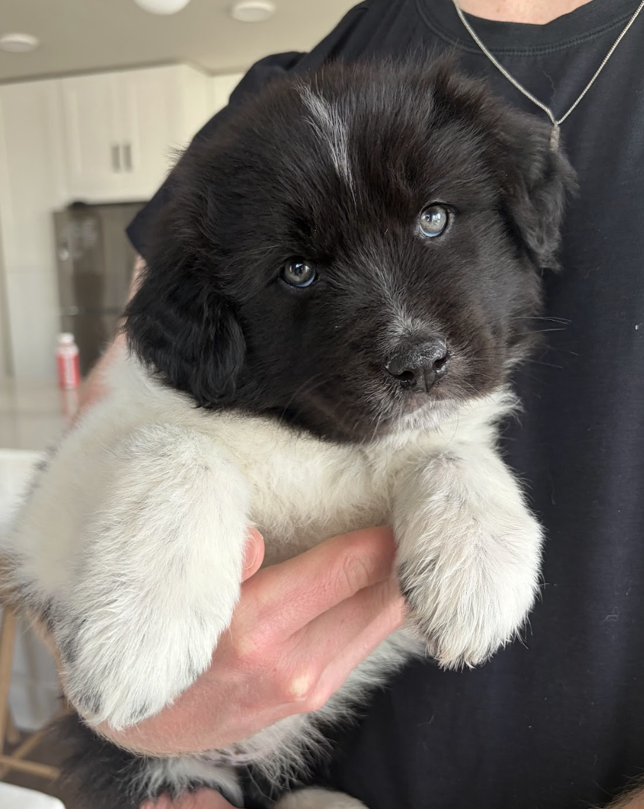 Screenshot 2026-04-13 at 2.42.53 PM.png