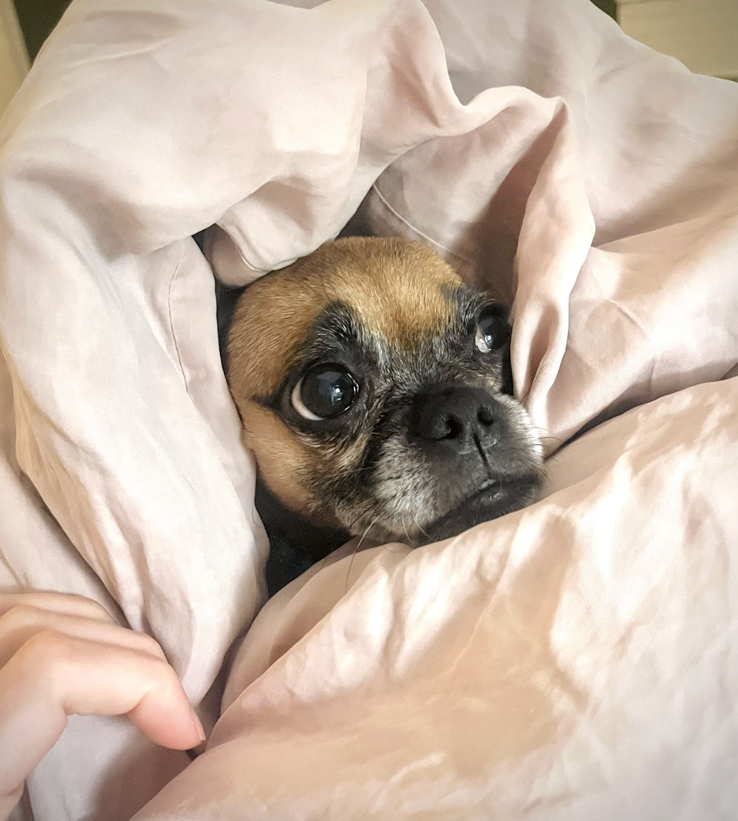 Screenshot 2026-01-14 at 9.33.37 PM.png