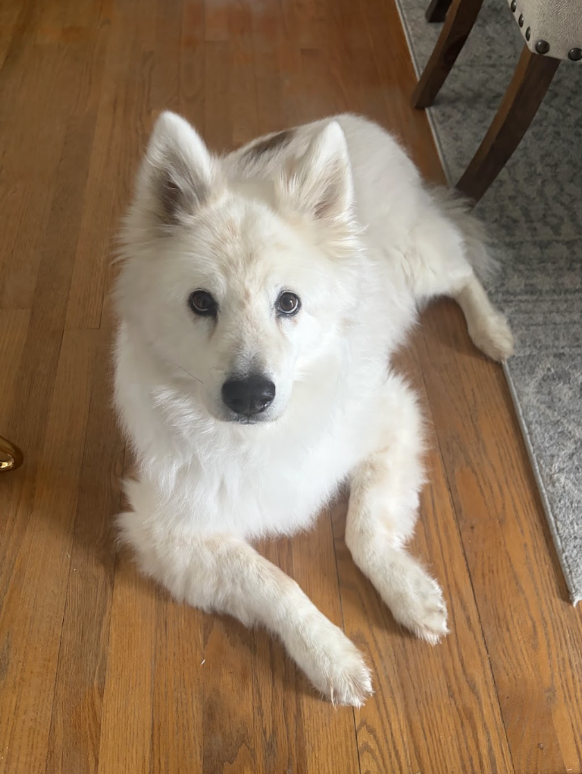 Screenshot 2026-03-24 at 12.31.08 PM.png