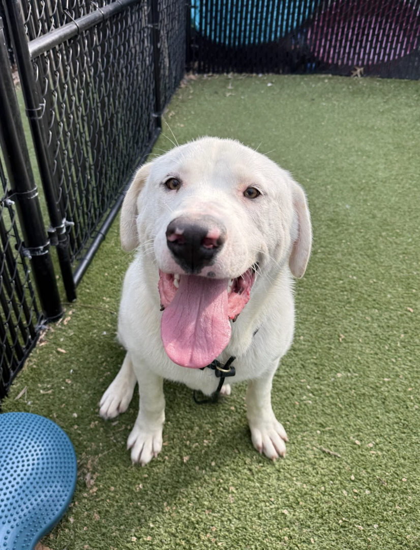 Screenshot 2026-04-09 at 6.48.10 PM.png