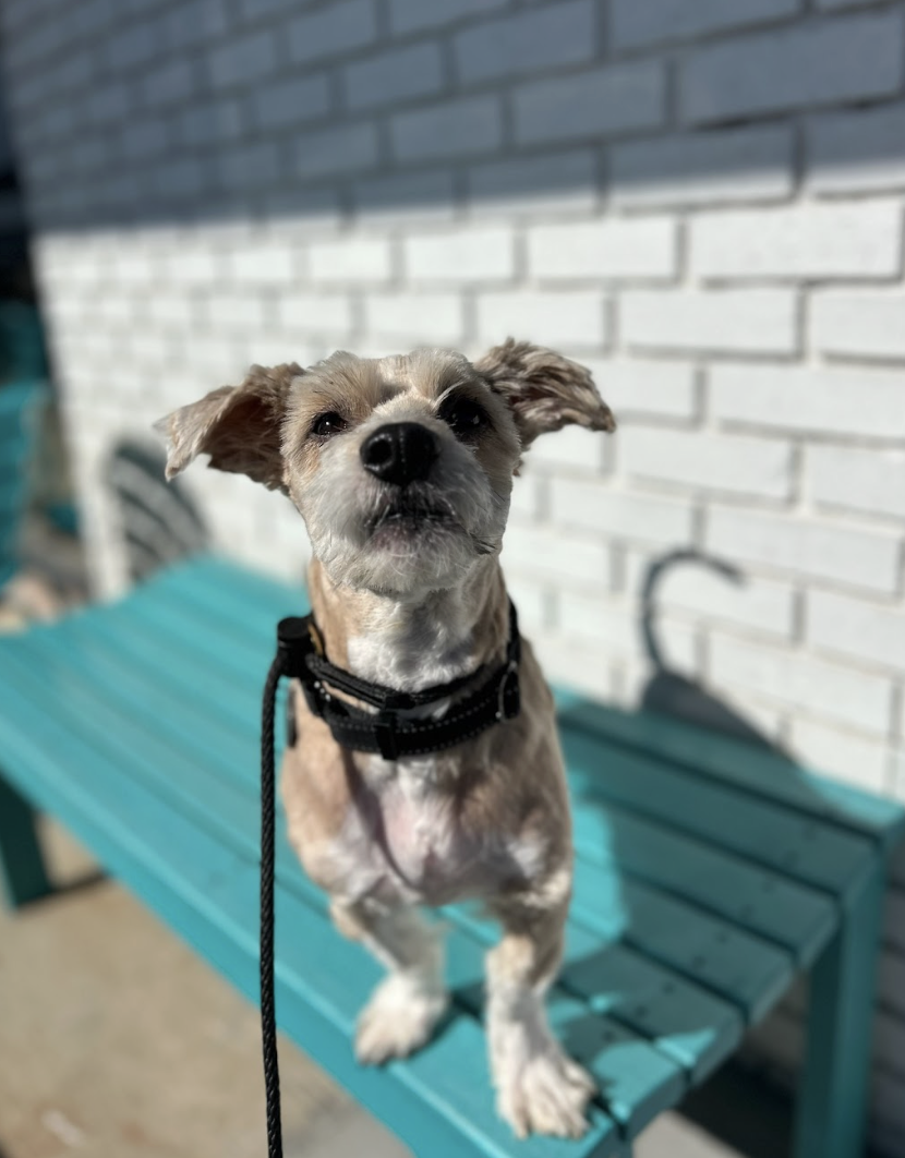 Screenshot 2026-03-14 at 6.31.20 PM.png