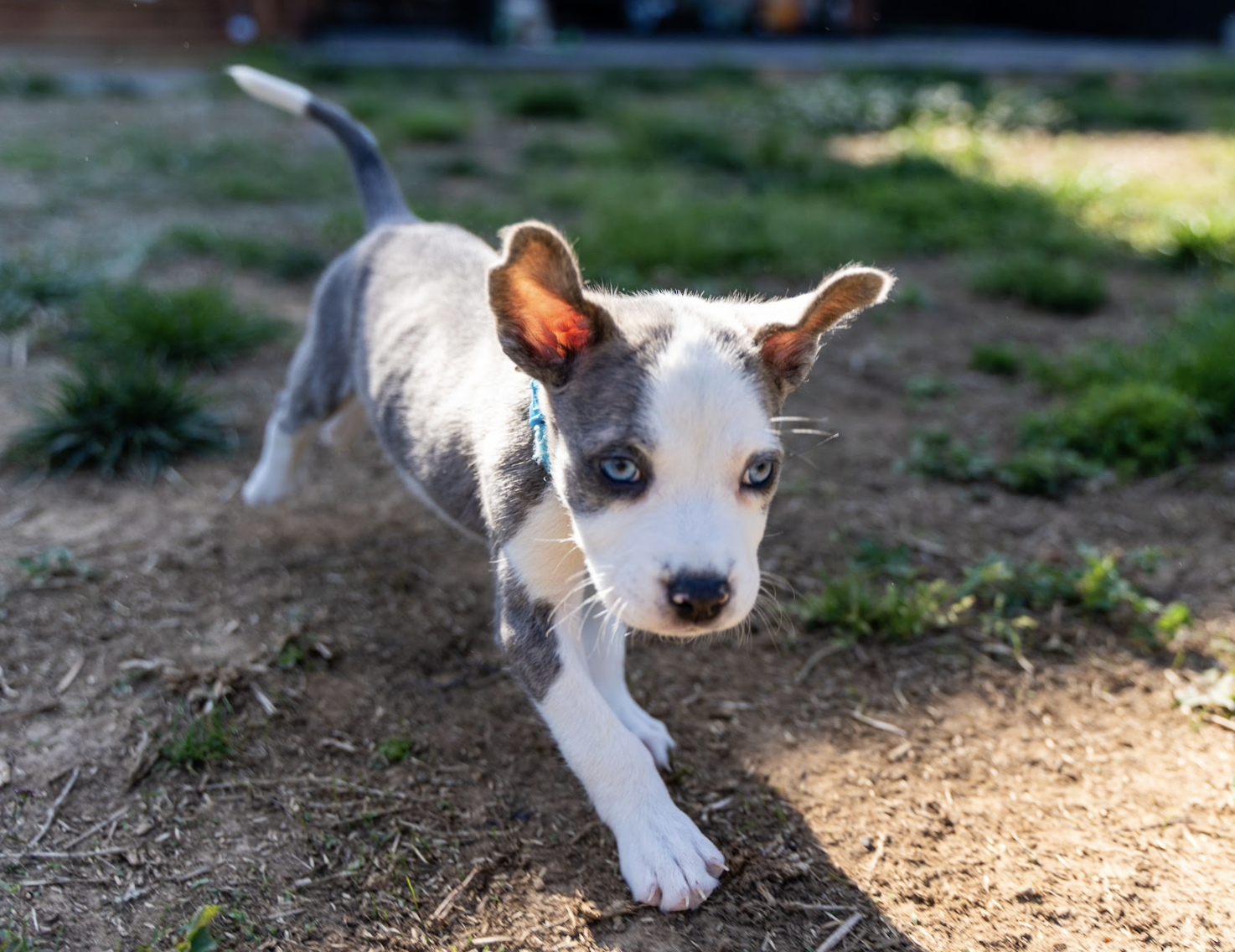 Screenshot 2026-04-23 at 2.18.44 PM.png