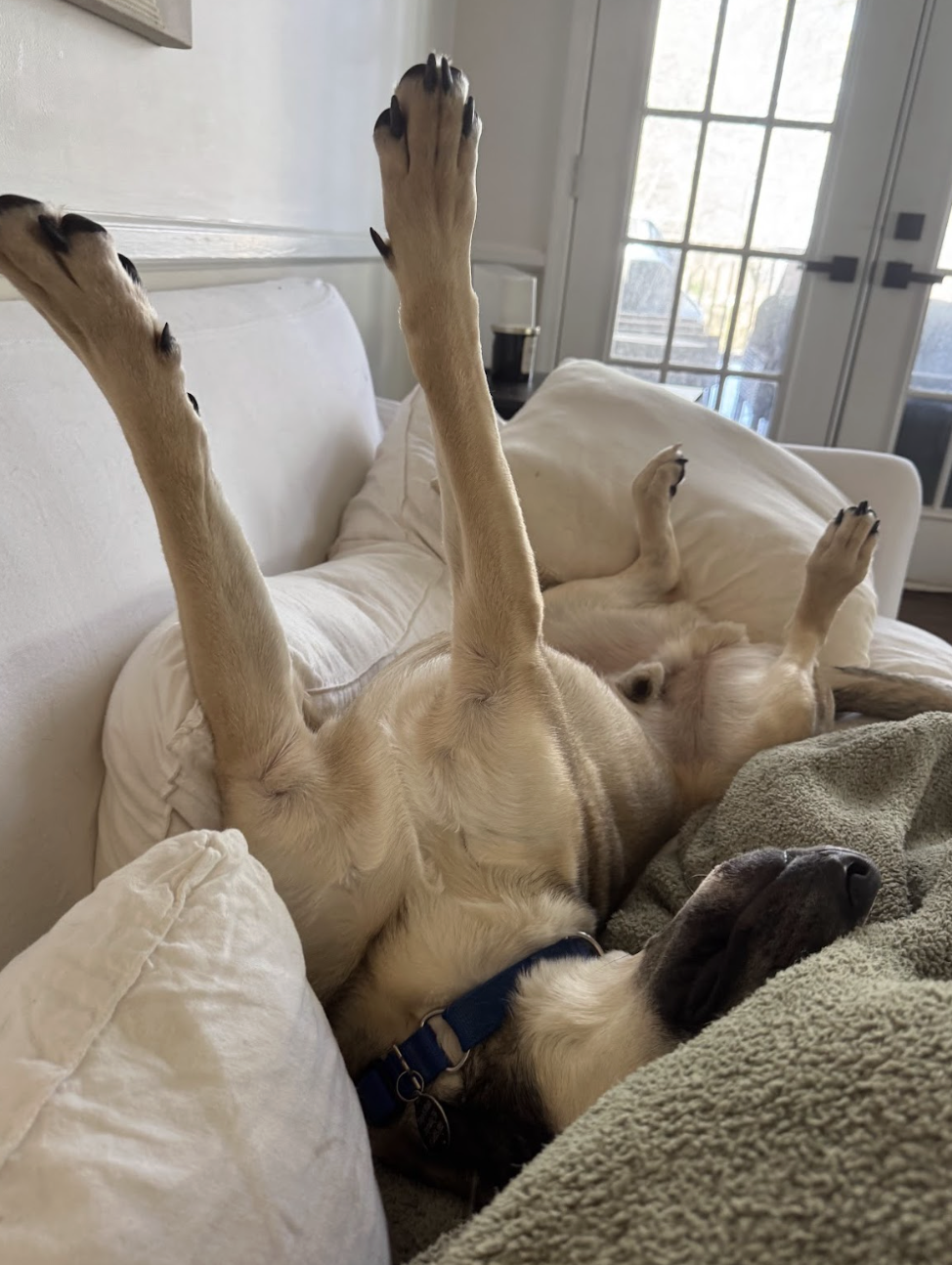 Screenshot 2026-02-07 at 7.57.08 AM.png