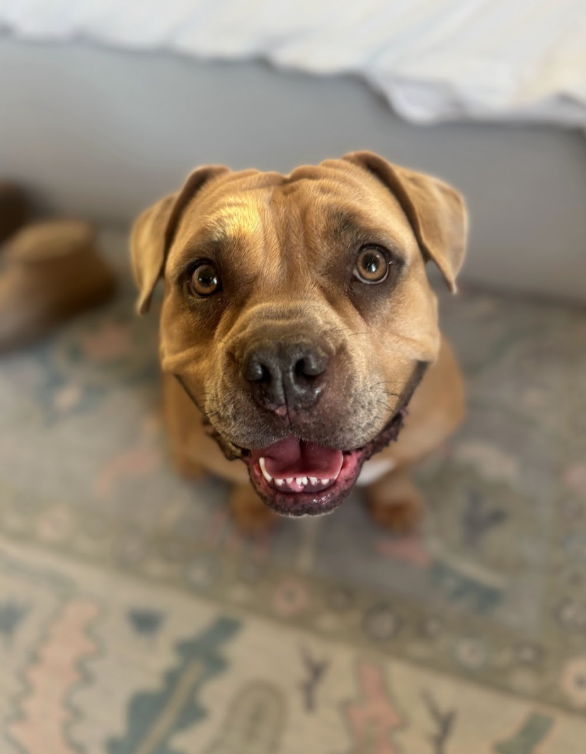 Screenshot 2026-02-26 at 2.25.31 PM.png