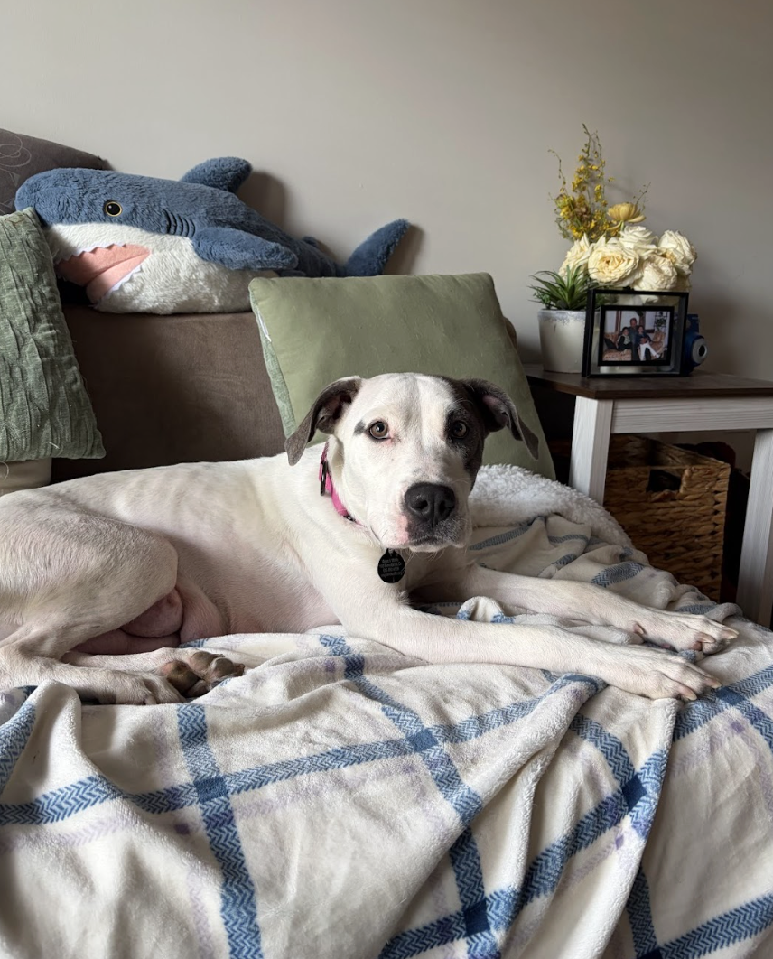 Screenshot 2026-04-22 at 6.14.19 PM.png