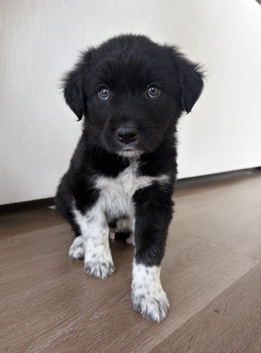 Screenshot 2026-04-13 at 2.42.00 PM.png