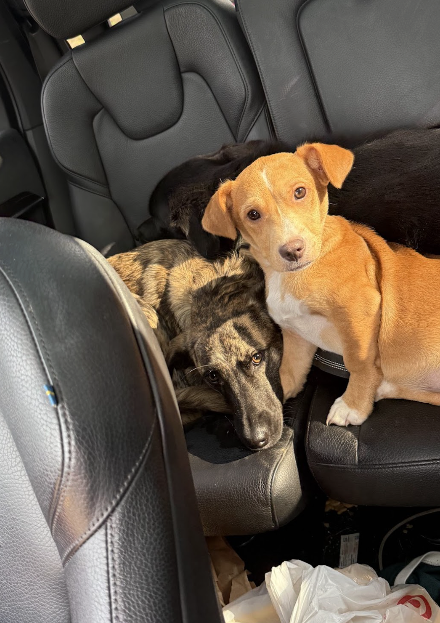 Screenshot 2025-12-26 at 4.45.24 PM.png