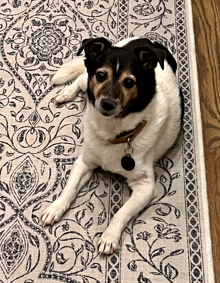 Screenshot 2026-01-14 at 9.33.03 PM.png