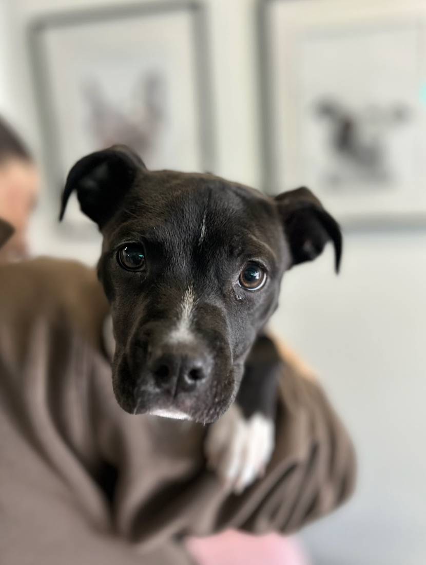 Screenshot 2026-01-13 at 4.00.38 PM.png