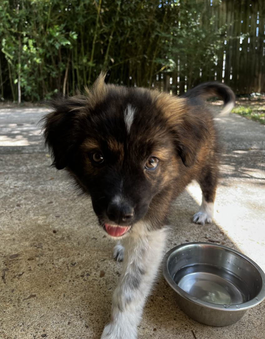 Screenshot 2026-04-23 at 6.51.41 PM.png