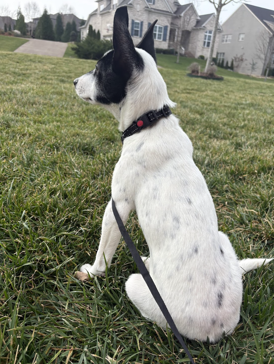 Screenshot 2026-01-14 at 9.10.31 PM.png