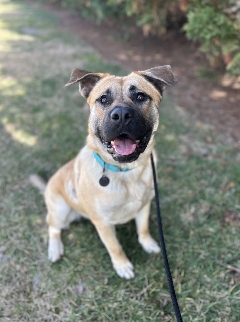 Screenshot 2026-02-12 at 4.46.40 PM.png