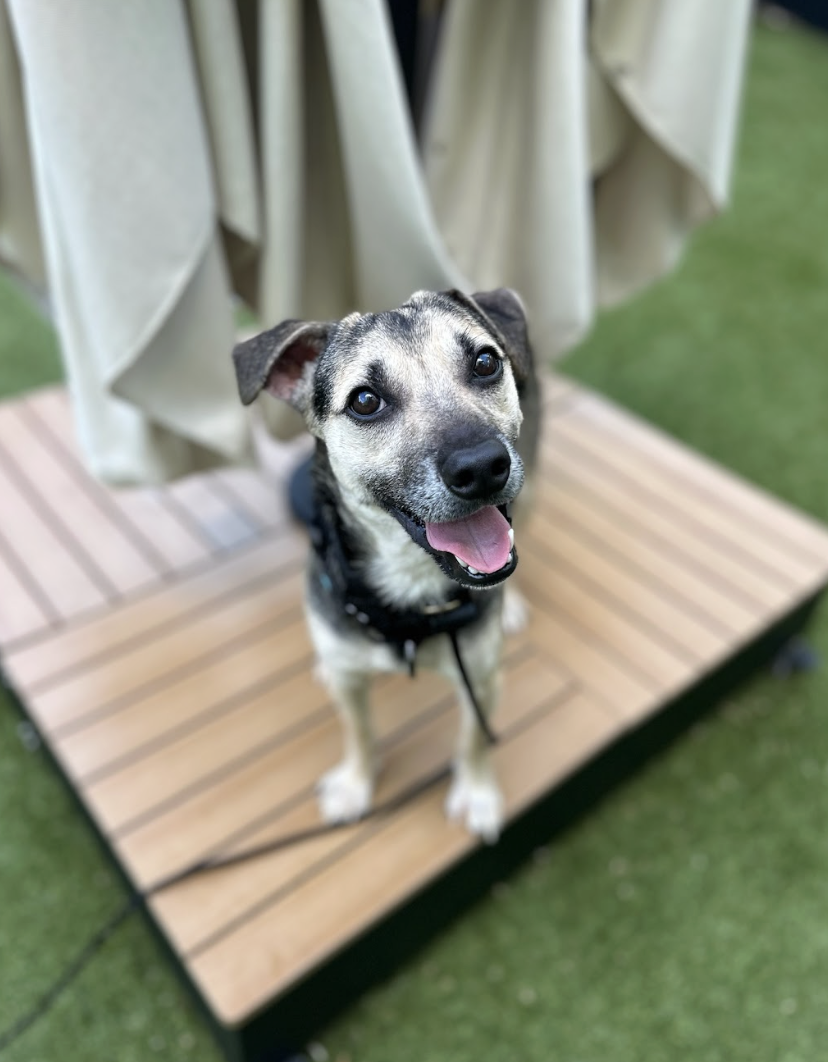 Screenshot 2026-04-16 at 7.16.48 PM.png