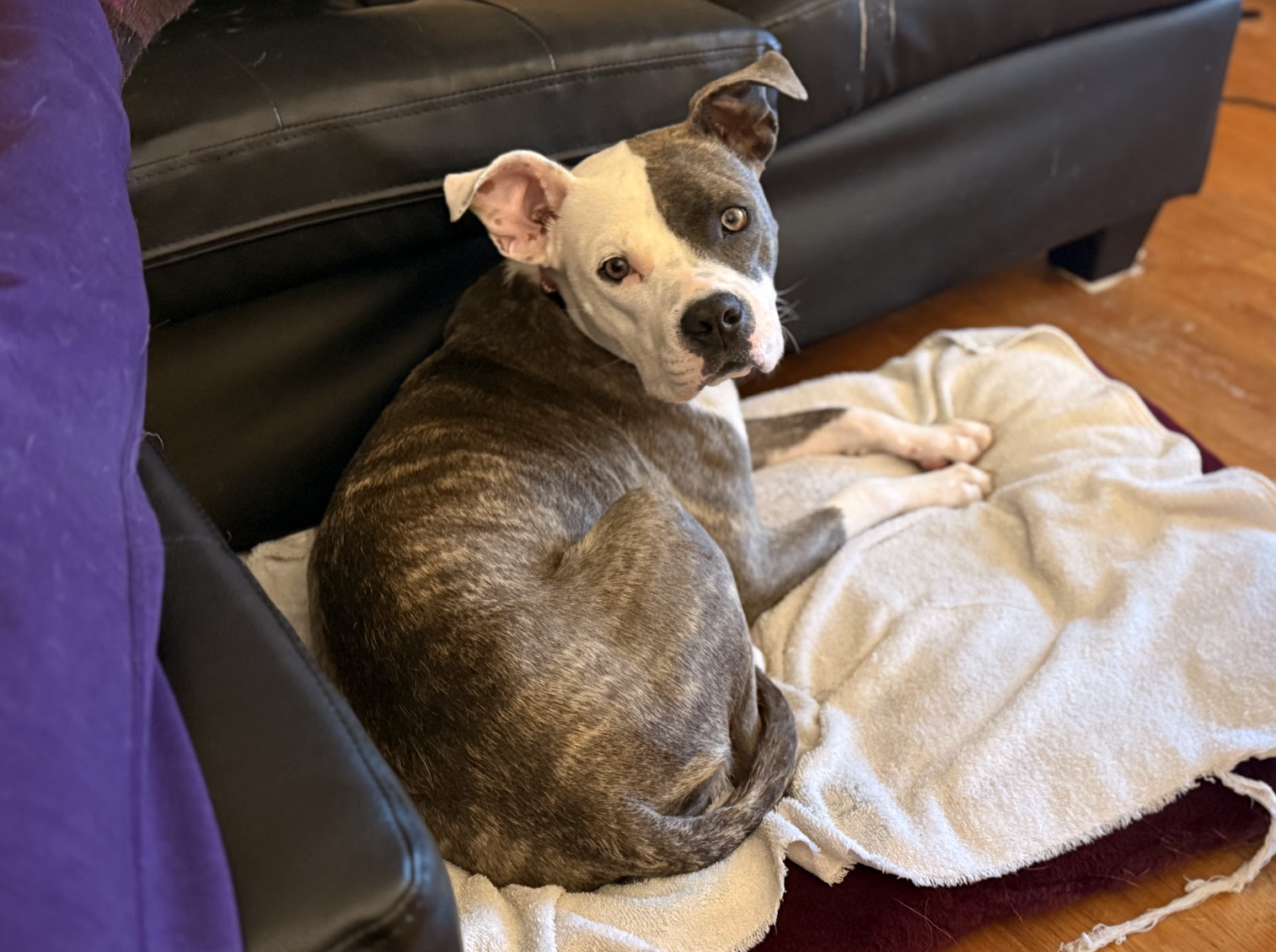 Screenshot 2026-03-27 at 4.47.36 PM.png