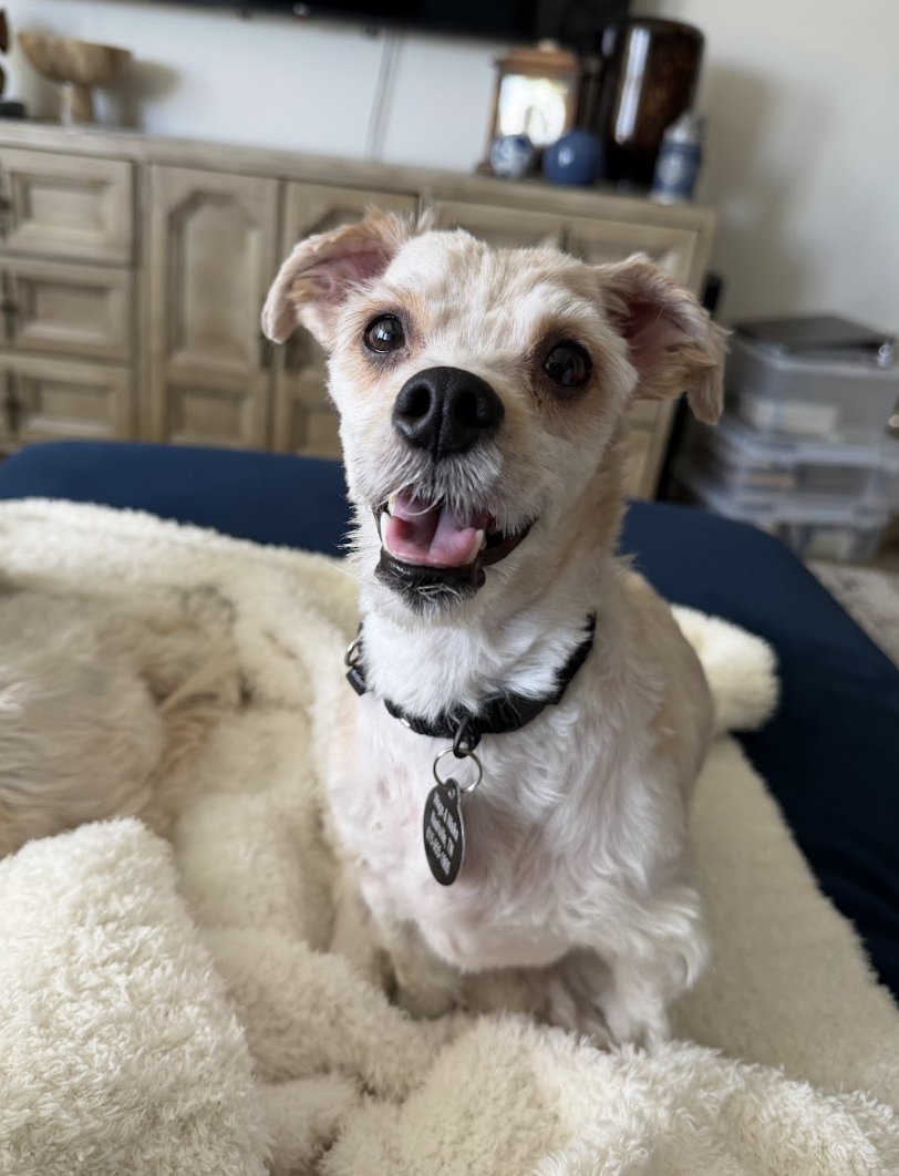 Screenshot 2026-04-16 at 7.08.45 PM.png