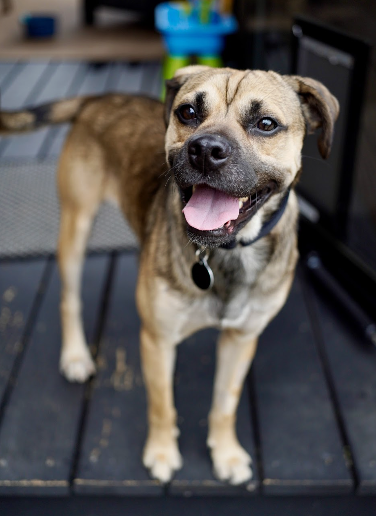 Screenshot 2026-04-03 at 3.08.56 PM.png