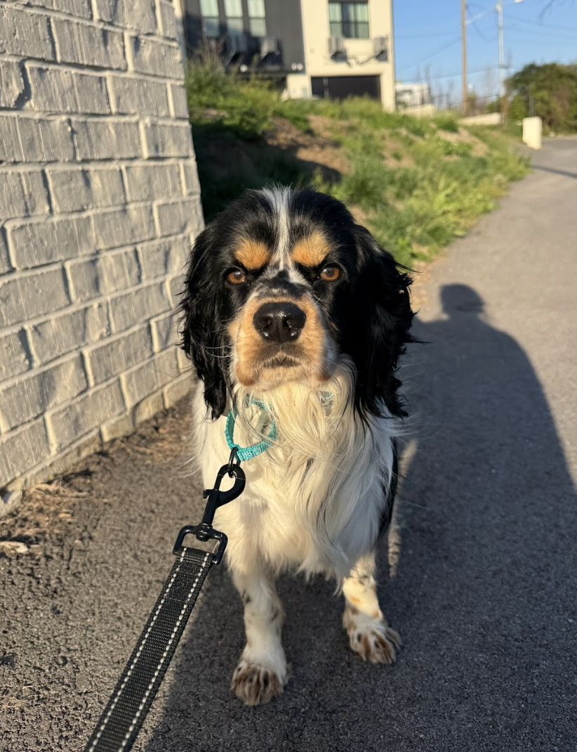 Screenshot 2026-03-21 at 2.27.04 PM.png