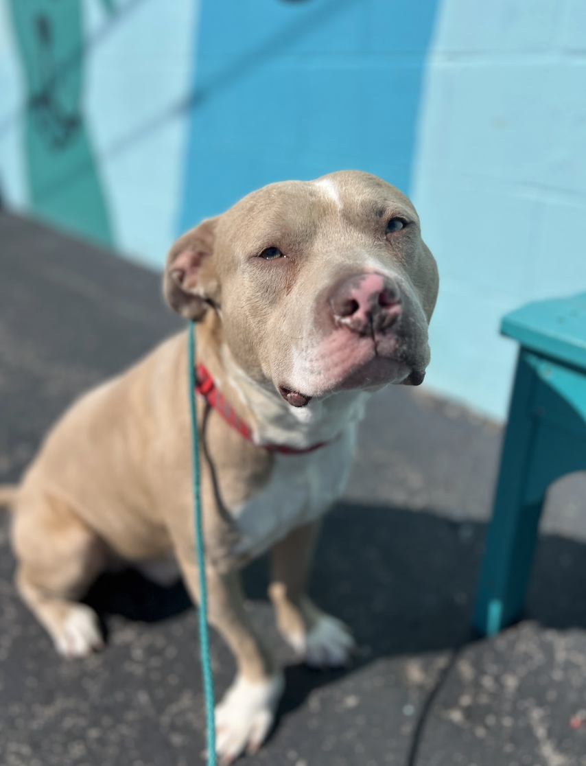 Screenshot 2026-03-24 at 12.42.16 PM.png