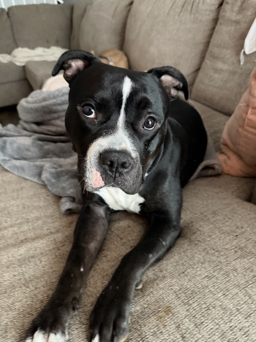 Screenshot 2026-02-26 at 2.21.27 PM.png