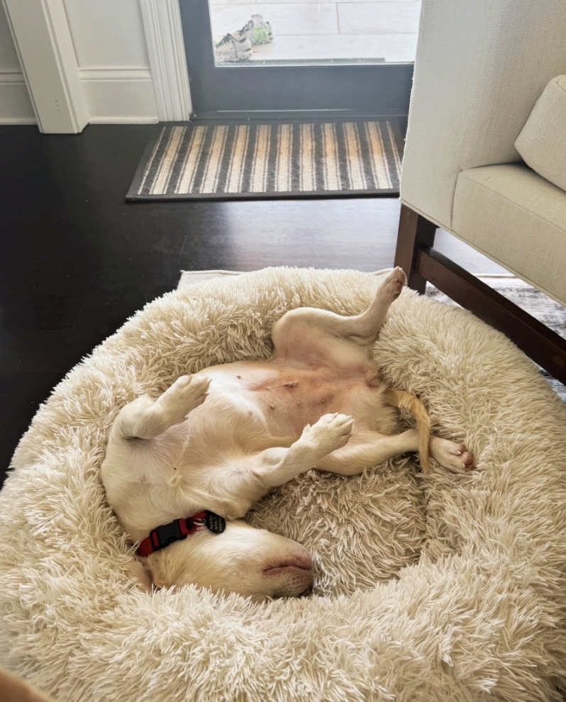 Screenshot 2026-04-22 at 5.44.27 PM.png