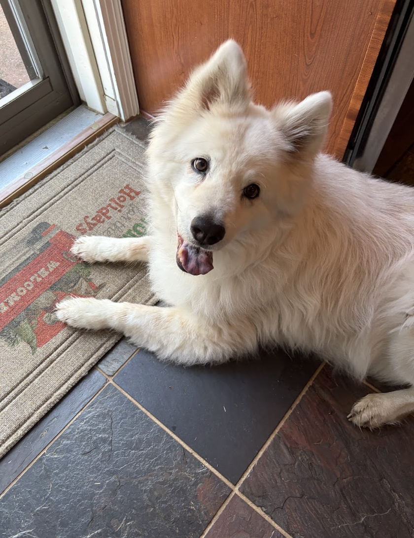 Screenshot 2026-03-24 at 12.30.57 PM.png