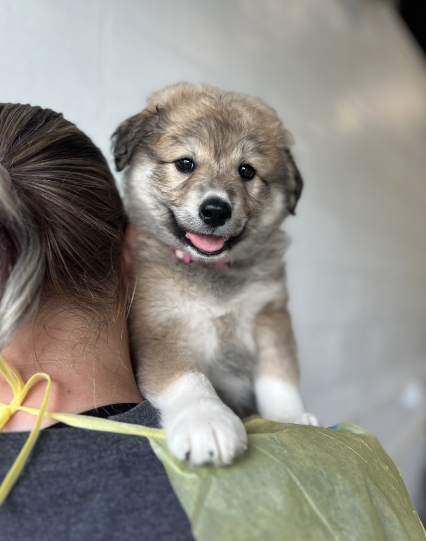 Screenshot 2026-04-16 at 4.16.36 PM.png