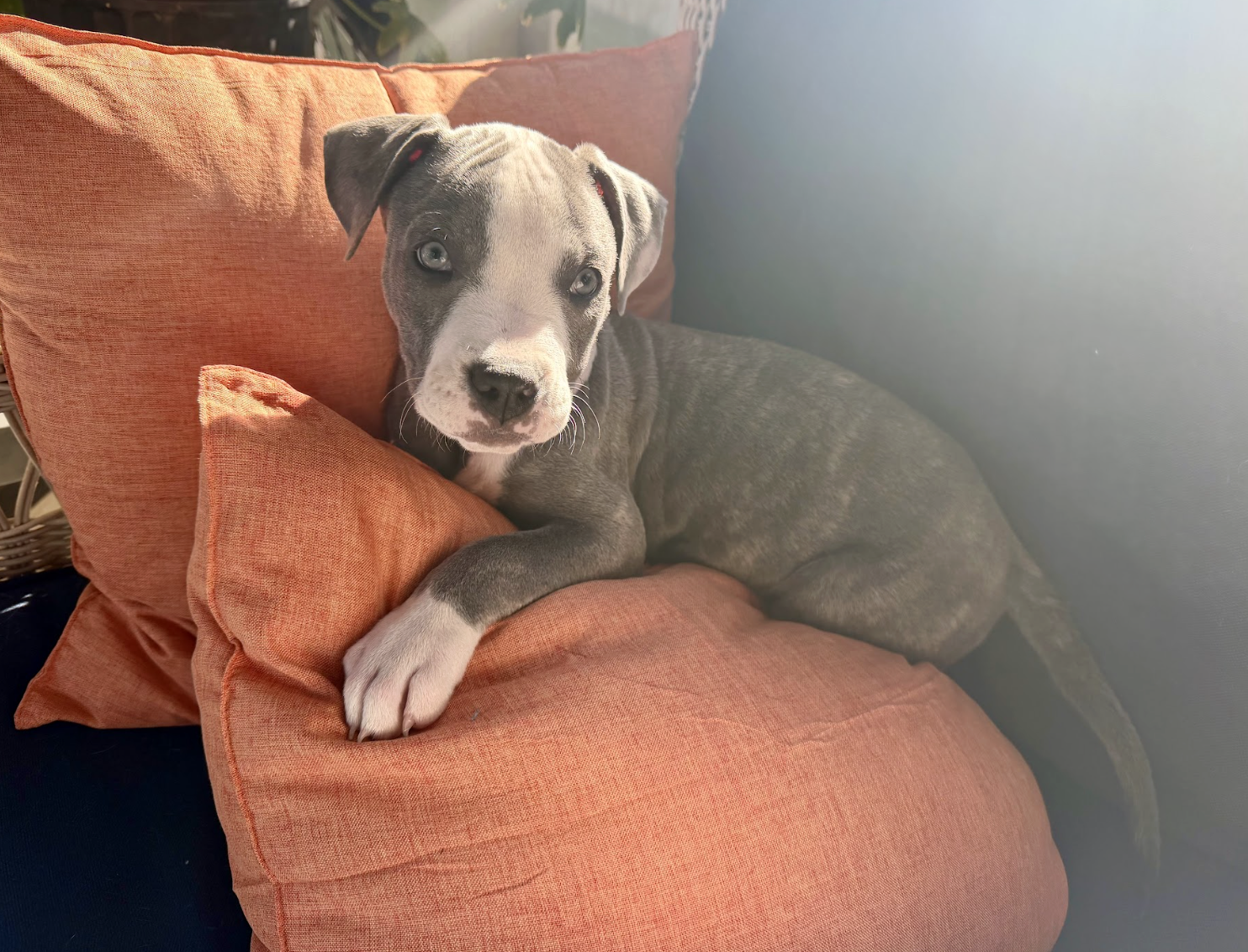 Screenshot 2026-04-03 at 2.21.42 PM.png