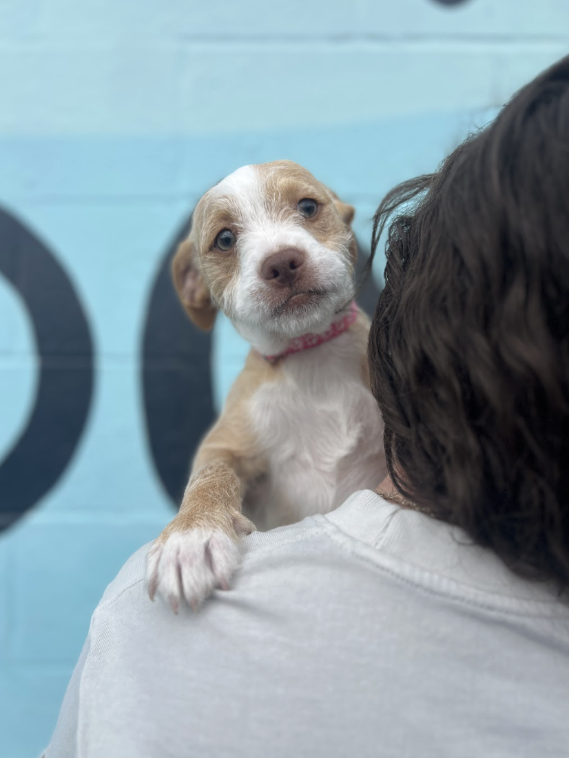 Screenshot 2026-03-05 at 2.36.18 PM.png