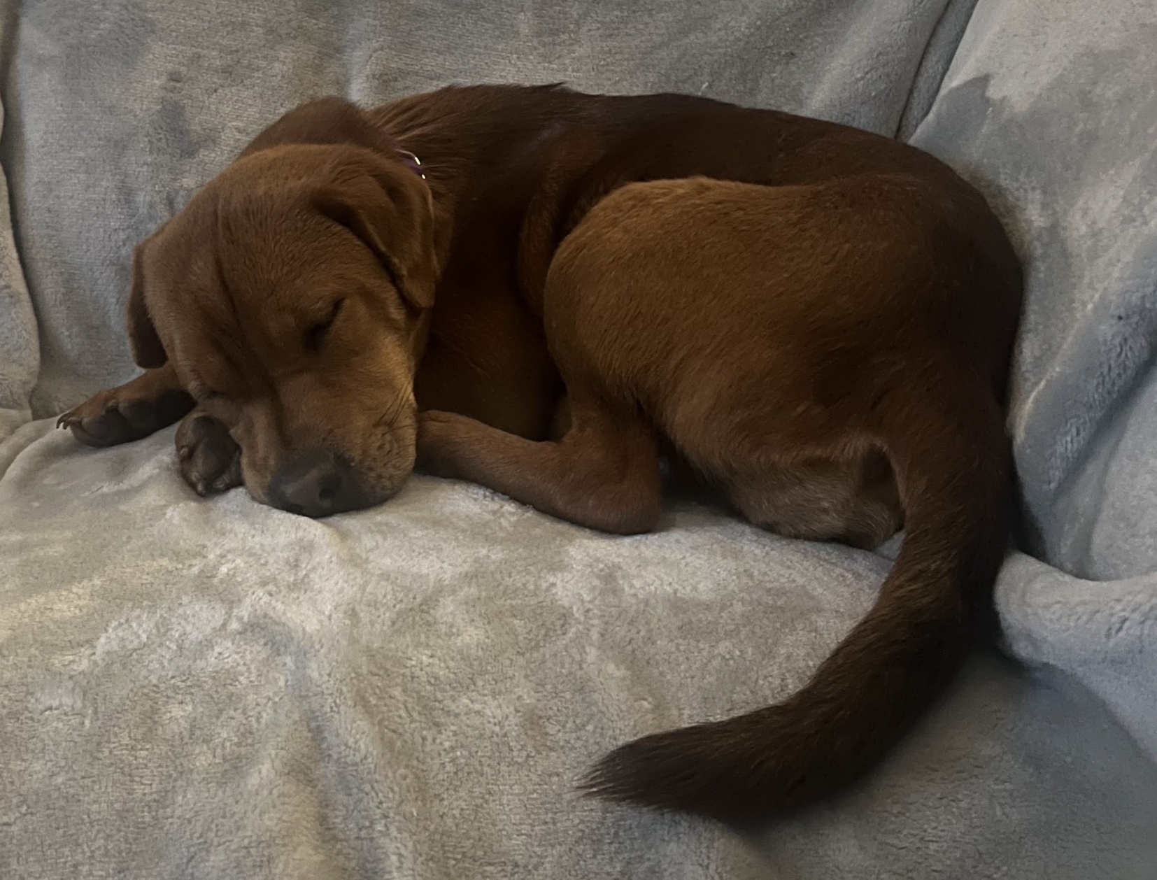 Screenshot 2026-01-25 at 10.10.26 AM.png