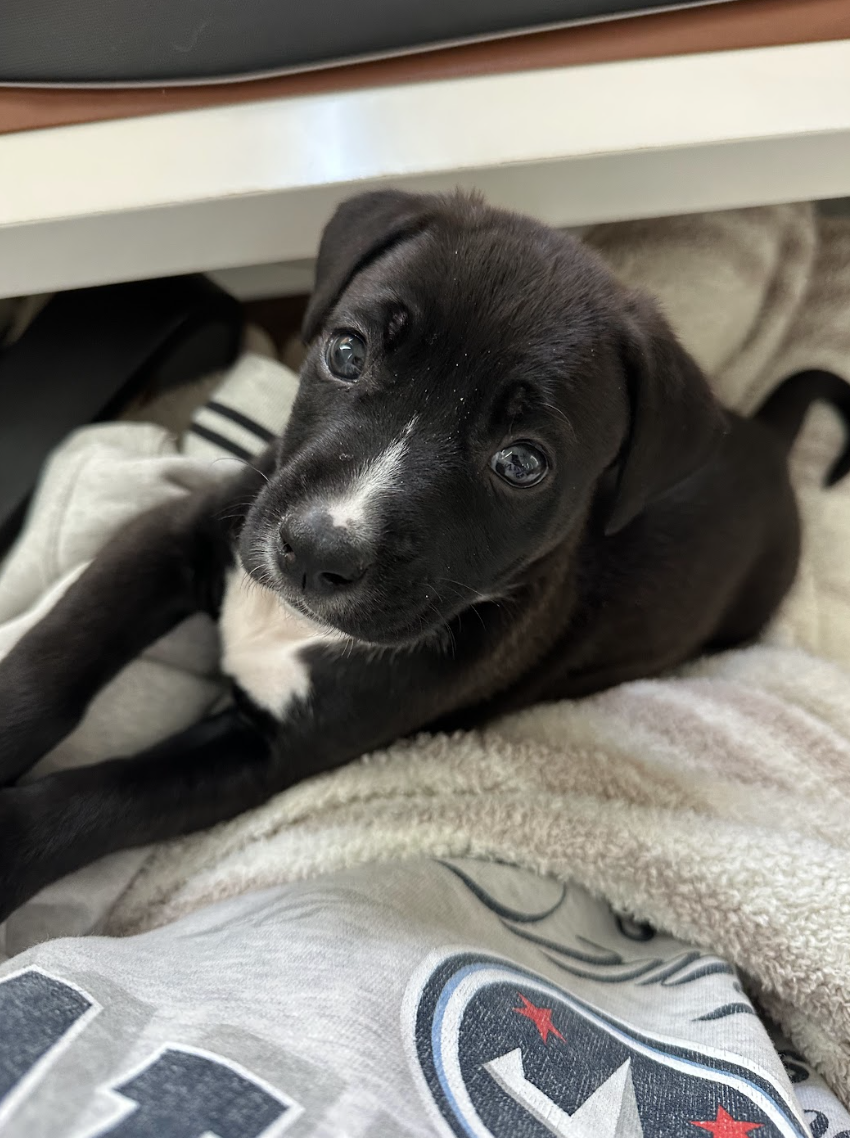 Screenshot 2026-03-20 at 3.02.25 PM.png