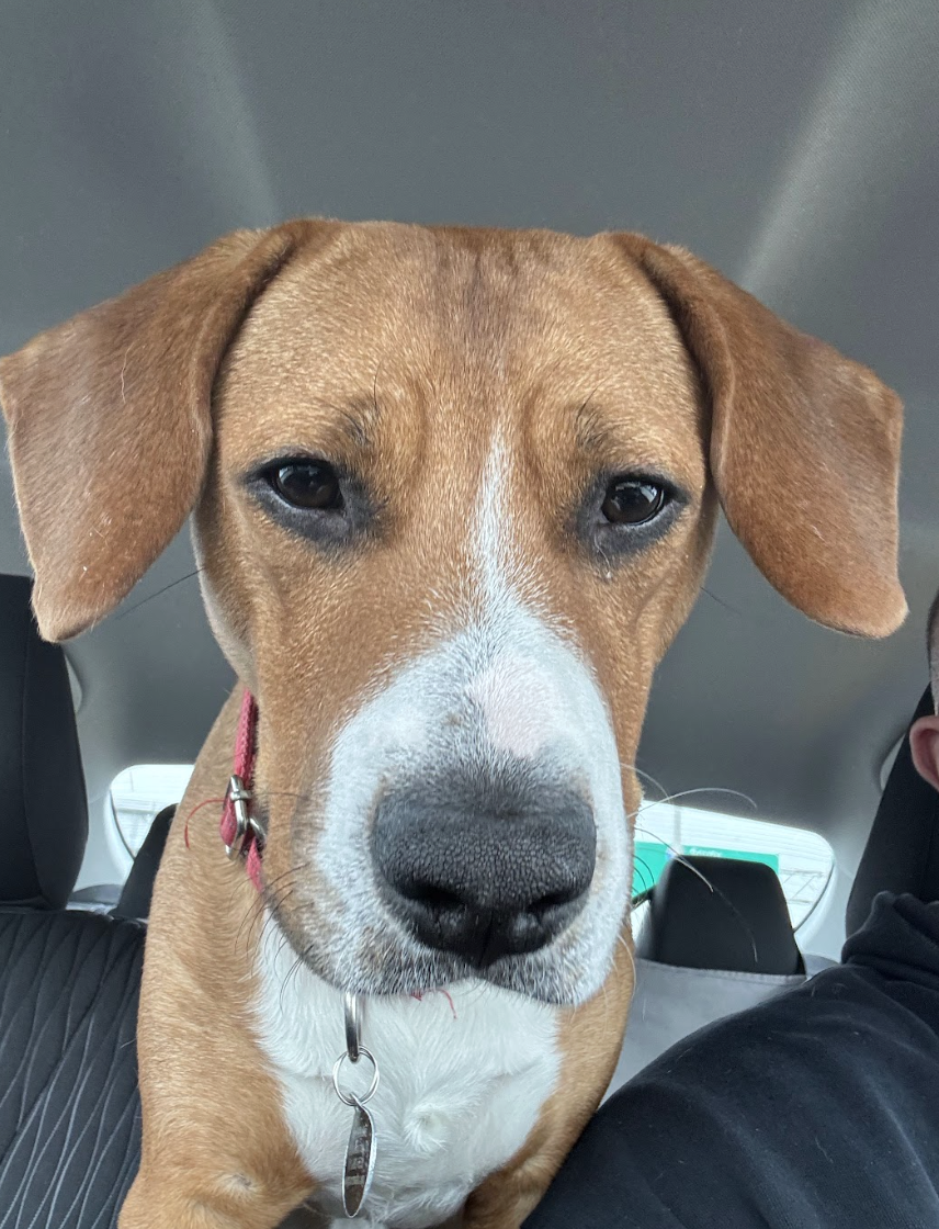 Screenshot 2026-03-20 at 4.11.01 PM.png