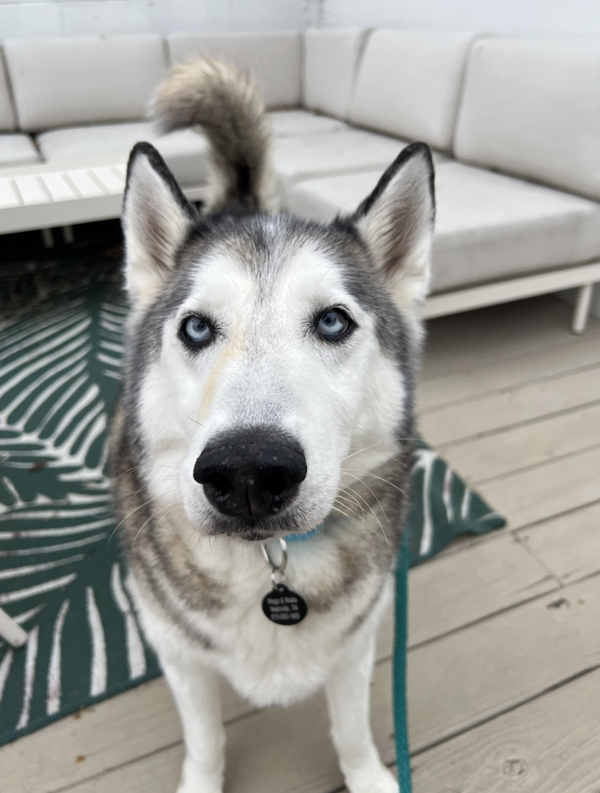 Screenshot 2026-03-11 at 6.45.17 PM.png